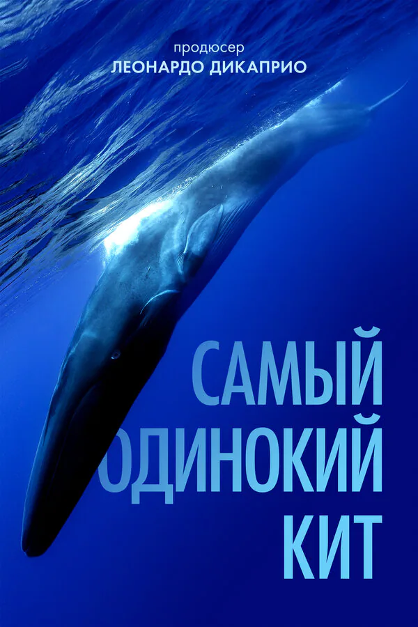 Обложка фильма «Самый одинокий кит»