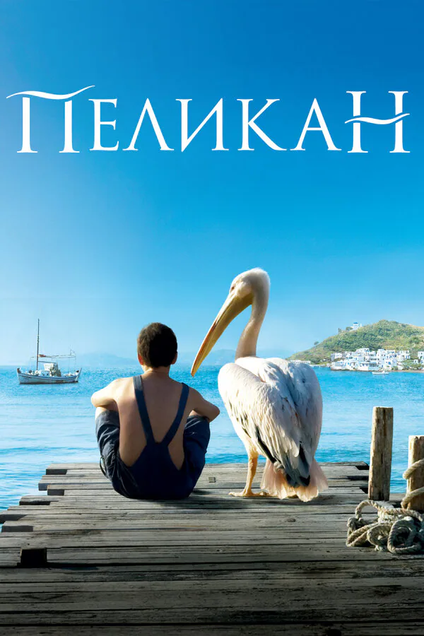 Обложка фильма «Пеликан»