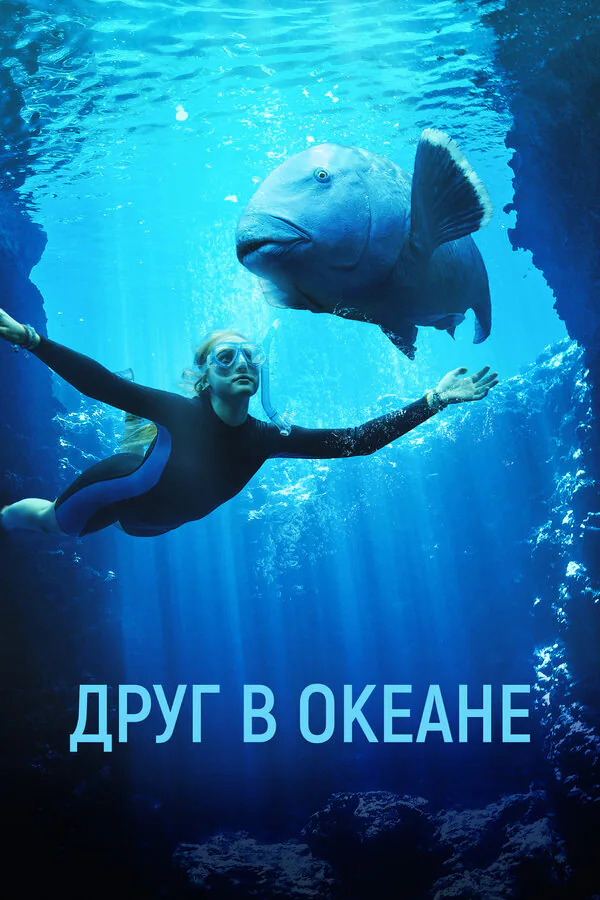 Обложка фильма «Друг в океане»