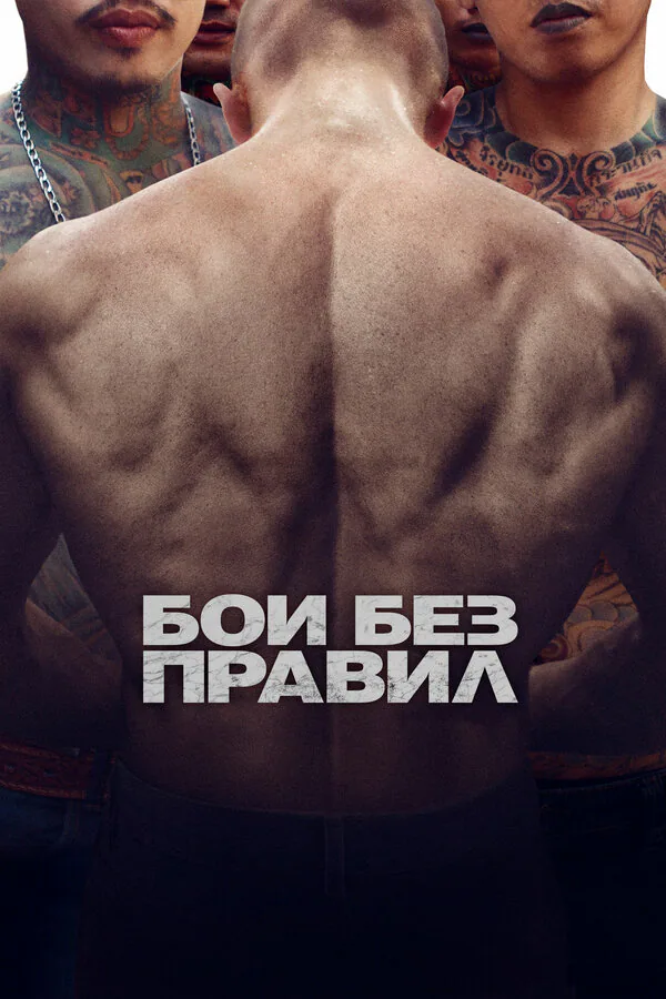 Обложка фильма «Бои без правил»