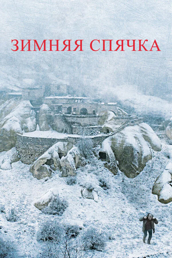 Обложка фильма «Зимняя спячка»