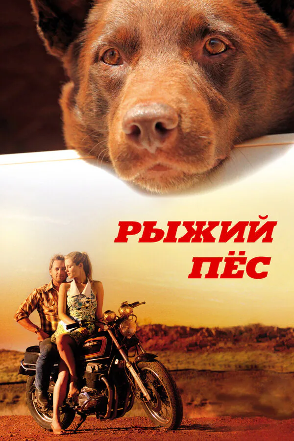 Обложка фильма «Рыжий пес»