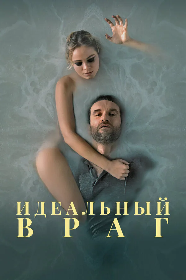 Обложка фильма «Идеальный враг»