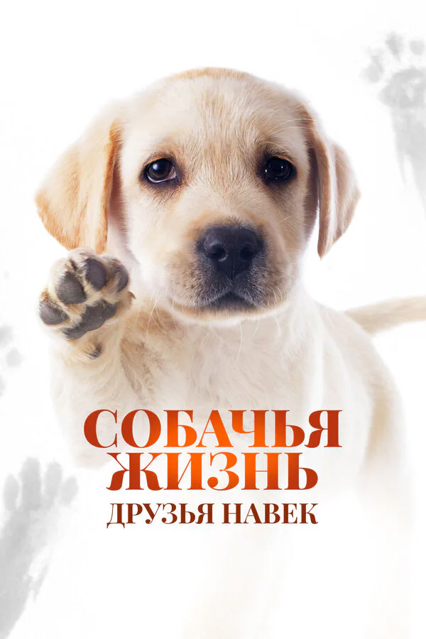 Обложка фильма «Собачья жизнь: Друзья навек»