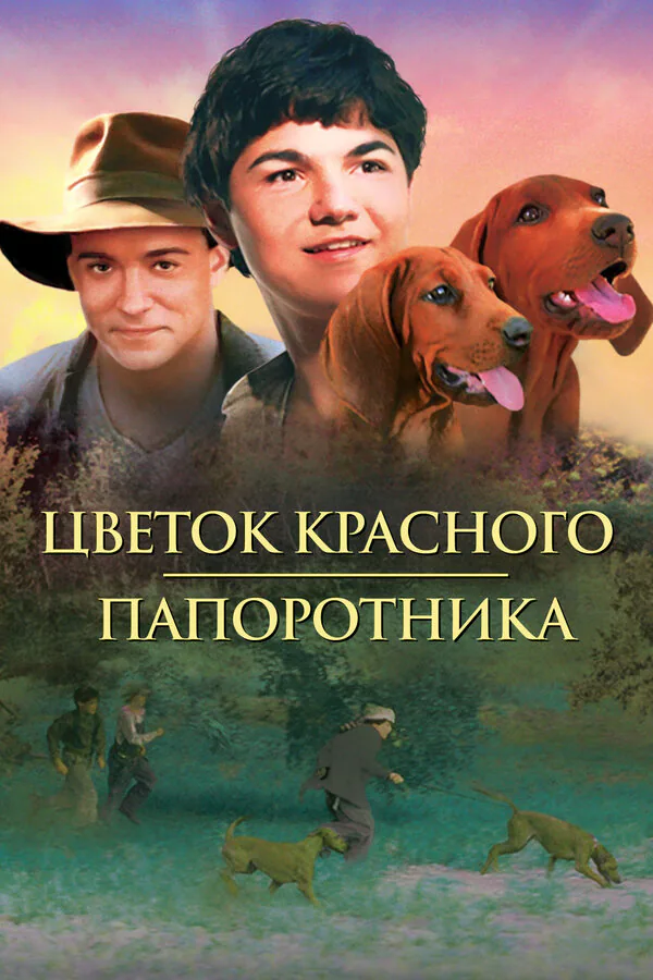 Обложка фильма «Цветок красного папоротника»