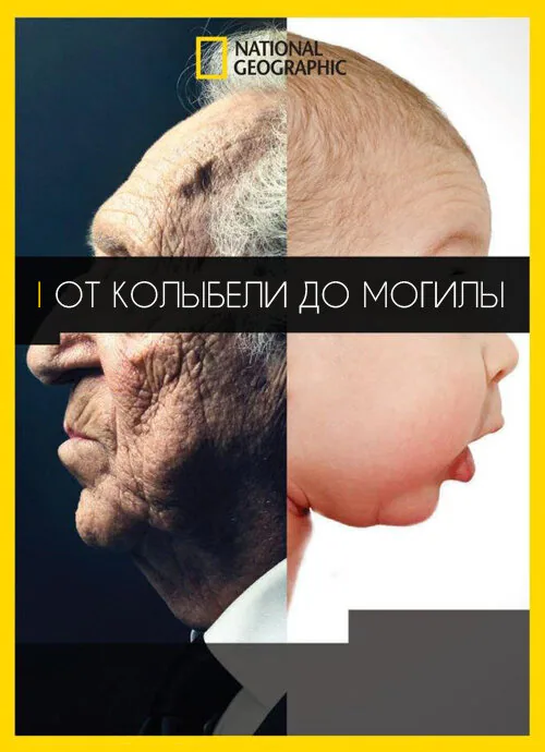 Обложка фильма «От колыбели до могилы»