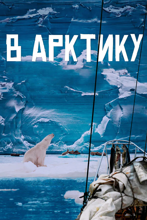 Обложка фильма «В Арктику»