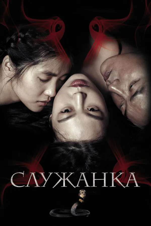 Обложка фильма «Служанка»