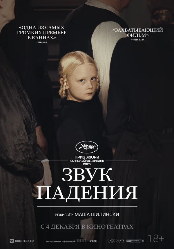 Обложка фильма «Звук падения»