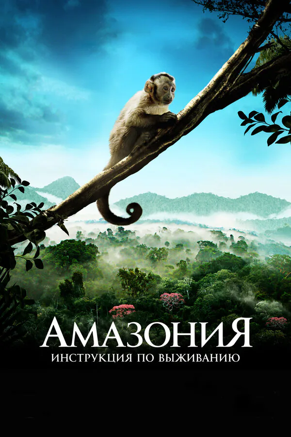 Обложка фильма «Амазония: Инструкция по выживанию»