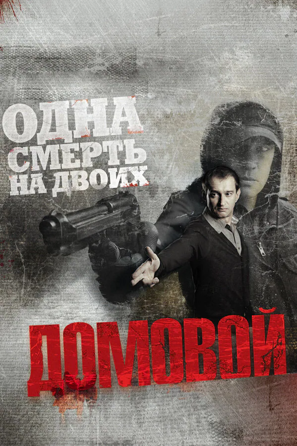 Обложка фильма «Домовой»