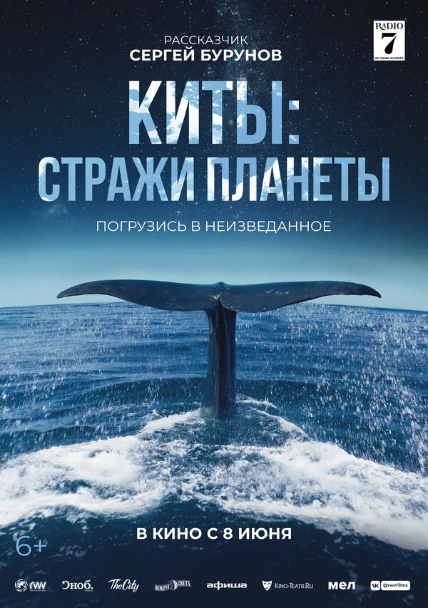 Обложка фильма «Киты: Стражи планеты»