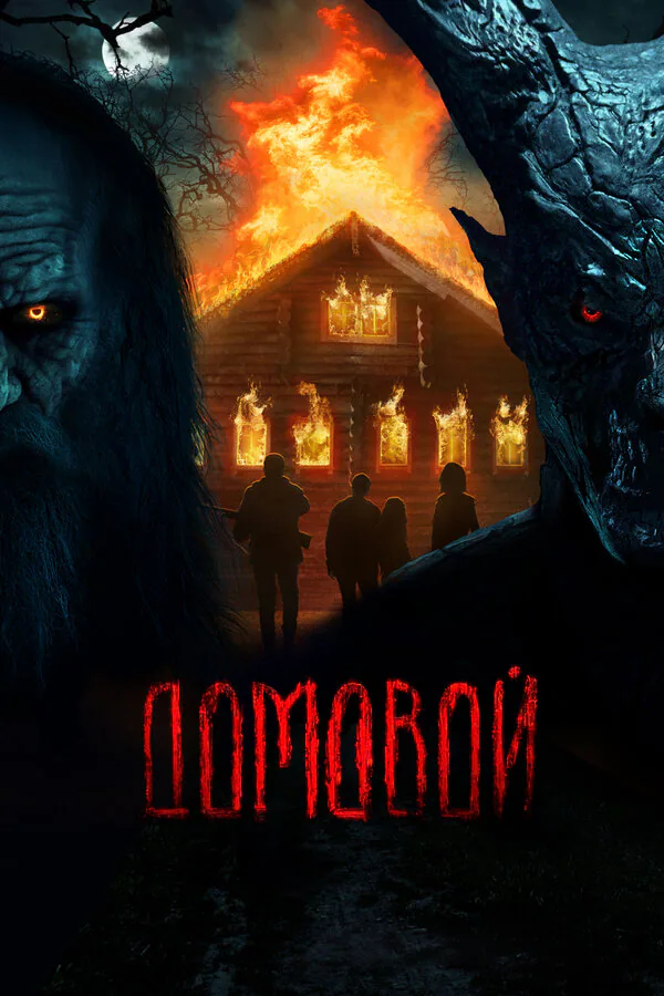 Обложка фильма «Домовой»