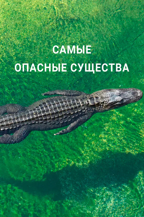 Обложка фильма «Самые опасные существа»