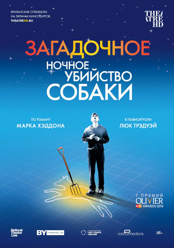 Обложка фильма «Загадочное ночное убийство собаки»