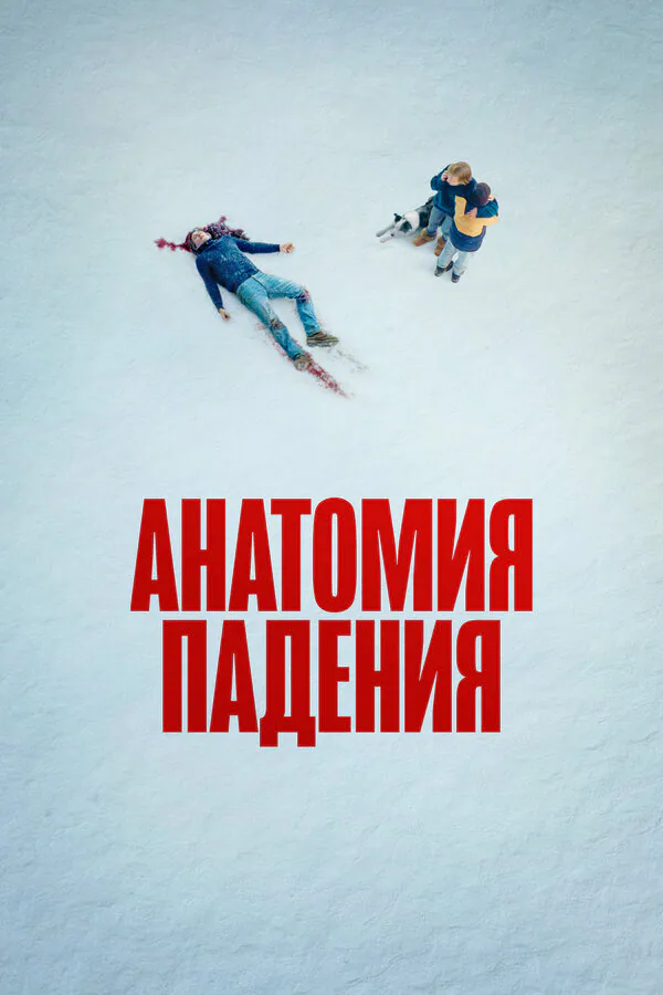 Обложка фильма «Анатомия падения»