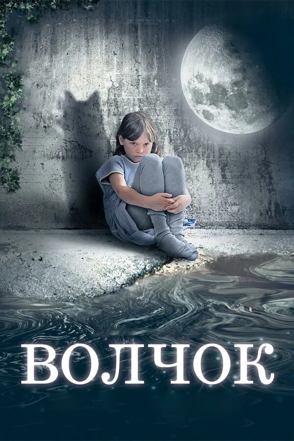 Обложка фильма «Волчок»