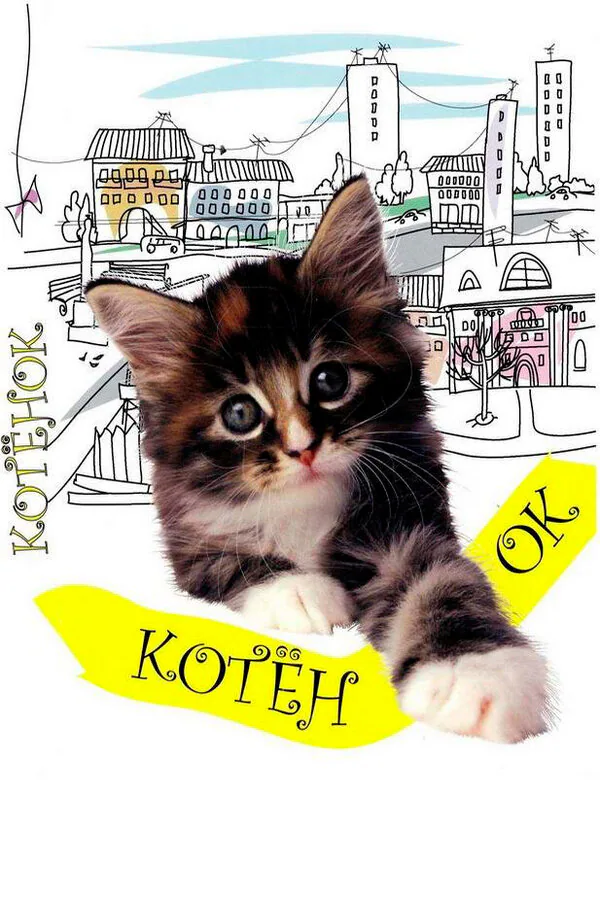 Обложка фильма «Котенок»