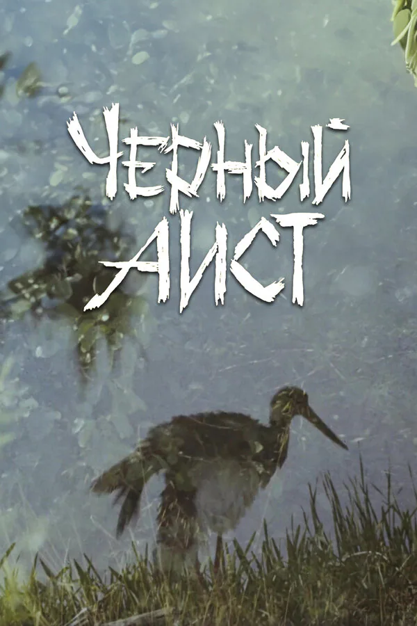 Обложка фильма «Черный аист»