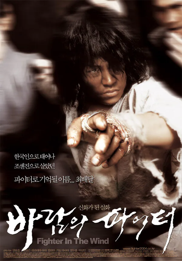 Обложка фильма «Воин ветра»