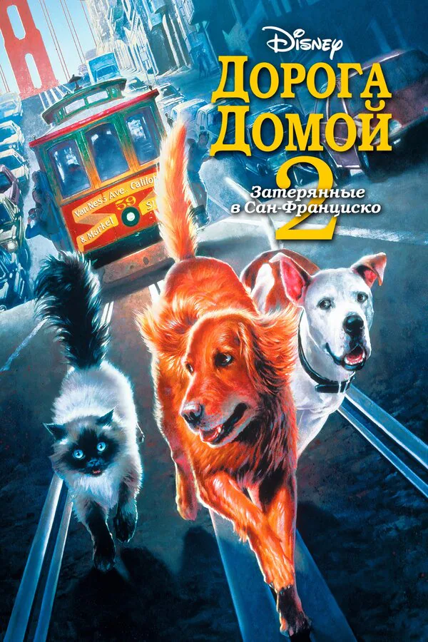 Обложка фильма «Дорога домой 2: Затерянные в Сан-Франциско»