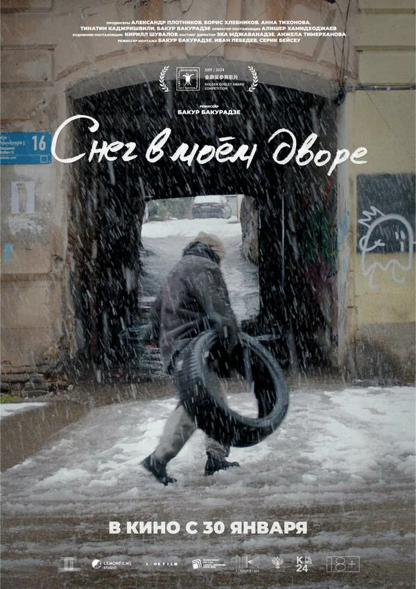 Обложка фильма «Снег в моём дворе»