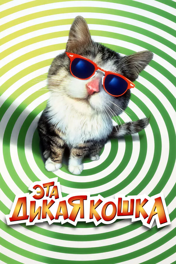 Обложка фильма «Эта дикая кошка»