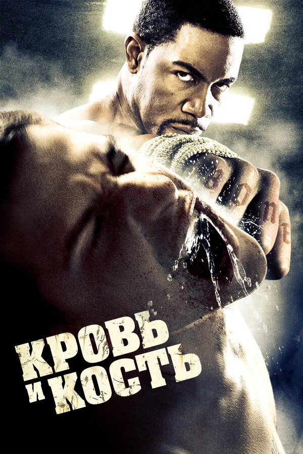 Обложка фильма «Кровь и кость»