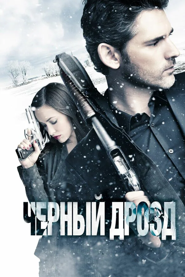 Обложка фильма «Чёрный дрозд»