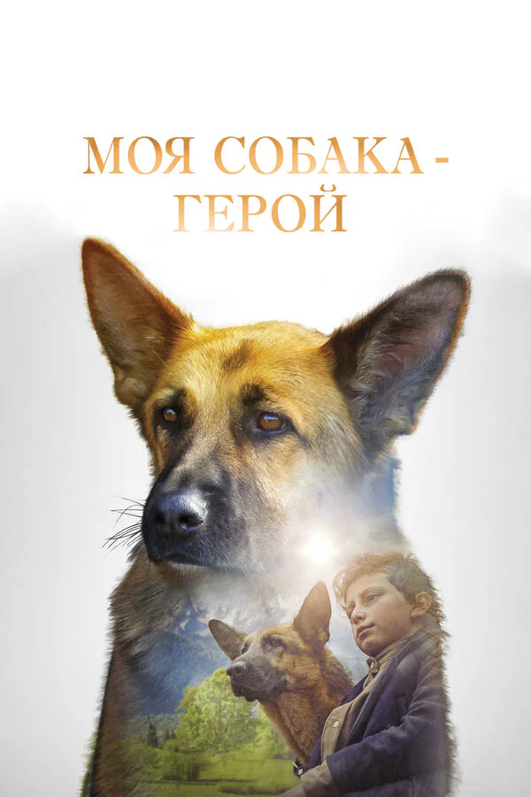 Обложка фильма «Моя собака — герой»