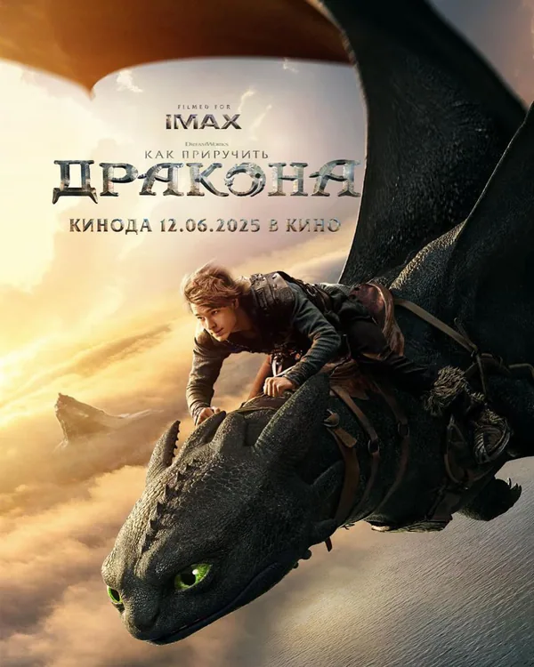 Обложка фильма «Как приручить дракона»