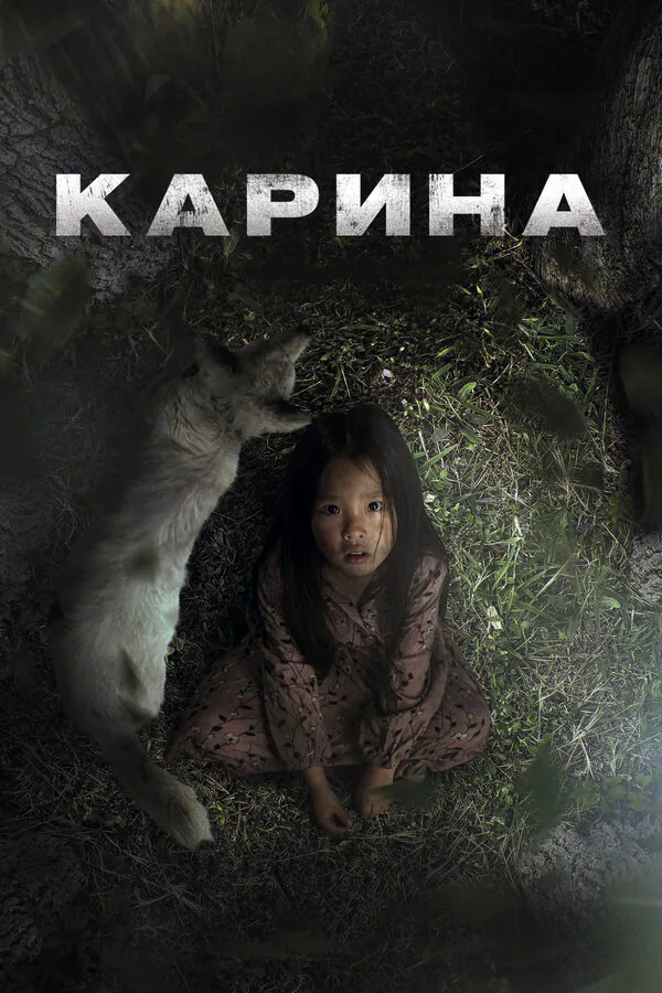 Обложка фильма «Карина»