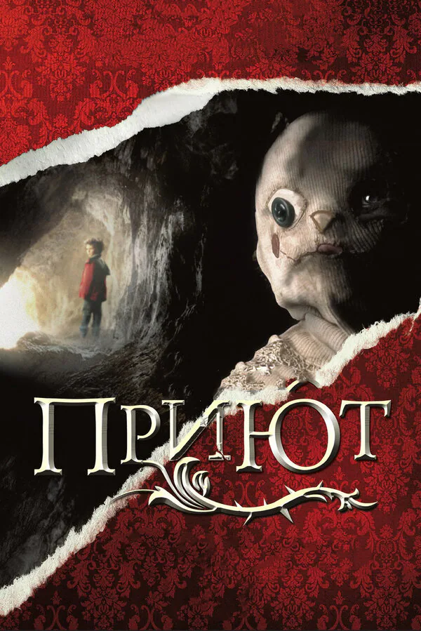 Обложка фильма «Приют»