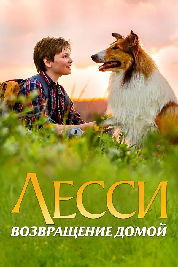 Обложка фильма «Лесси. Возвращение домой»