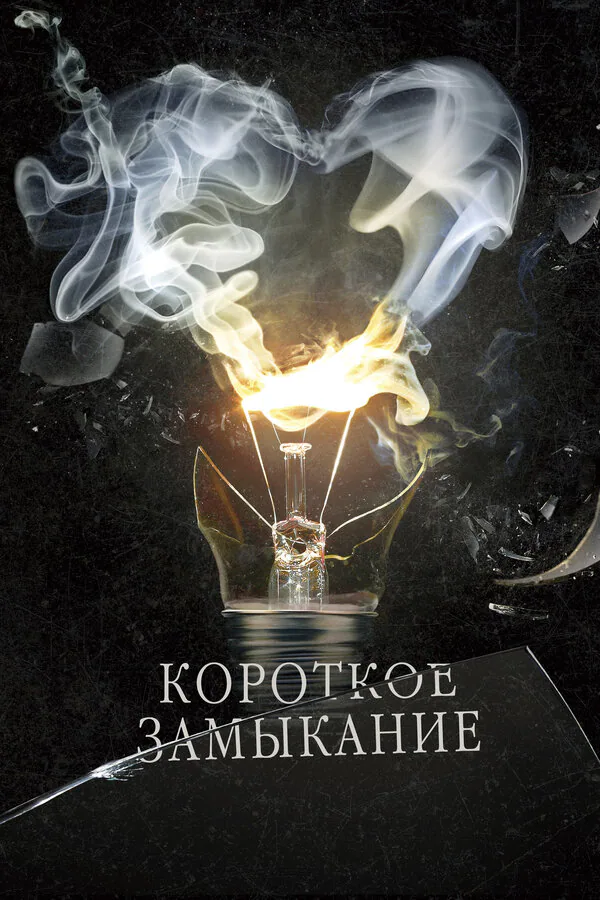 Обложка фильма «Короткое замыкание»