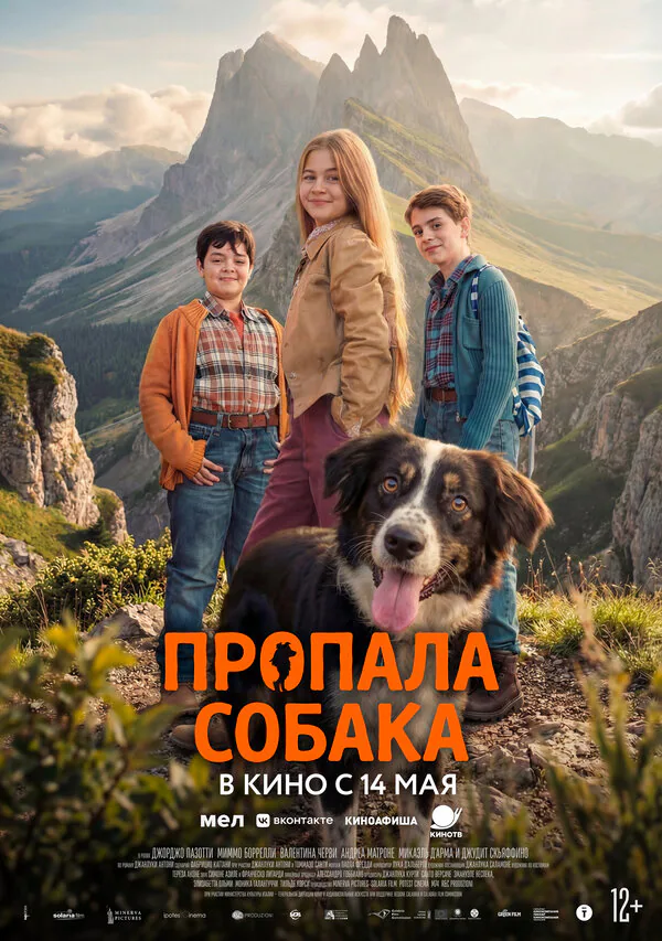 Обложка фильма «Пропала собака»