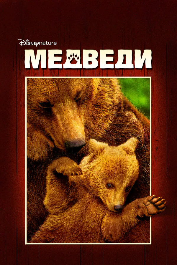 Обложка фильма «Медведи»