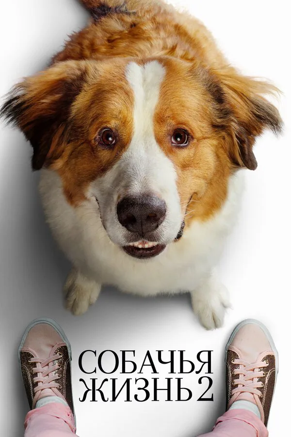 Обложка фильма «Собачья жизнь 2»
