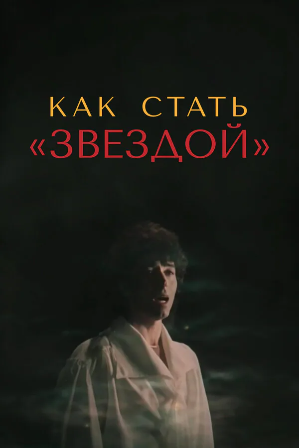 Обложка фильма «Как стать звездой»