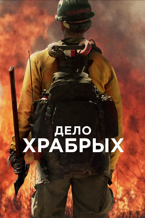 Обложка фильма «Дело храбрых»