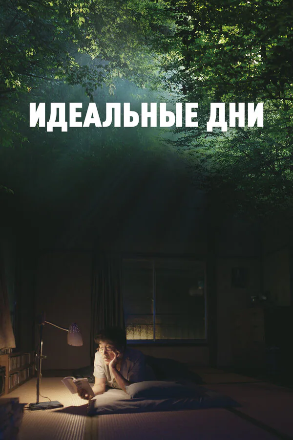 Обложка фильма «Идеальные дни»