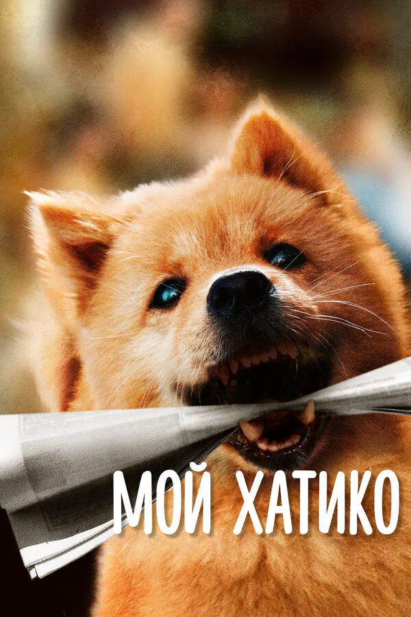 Обложка фильма «Мой Хатико»