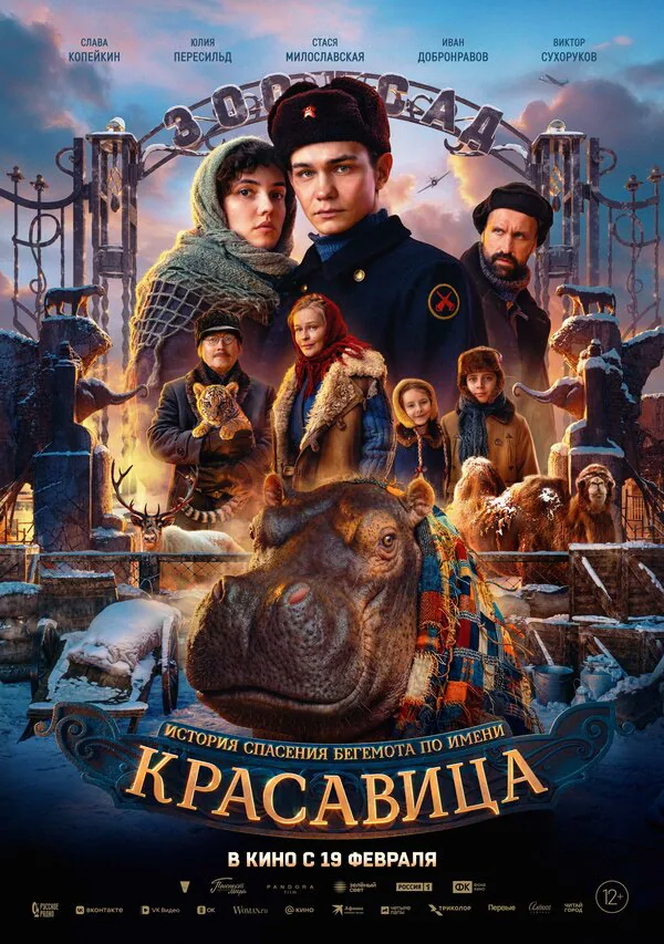 Обложка фильма «Красавица»