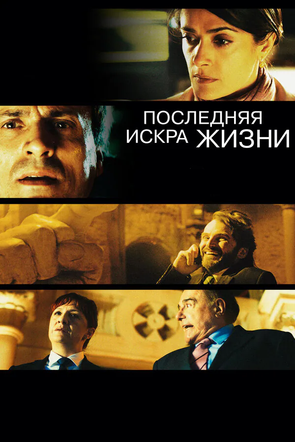 Обложка фильма «Последняя искра жизни»