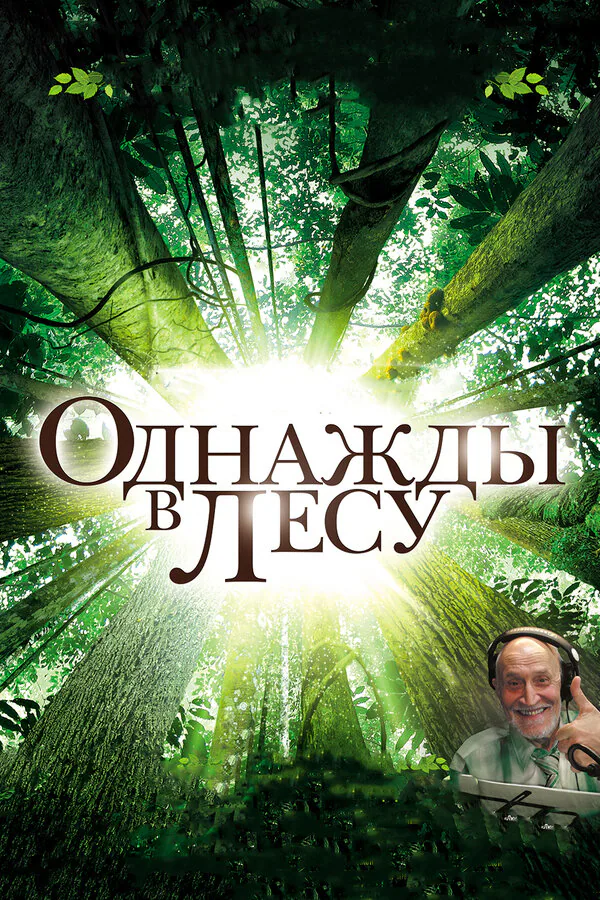 Обложка фильма «Однажды в лесу»