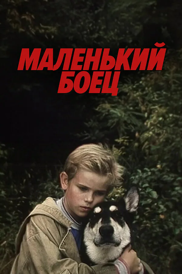 Обложка фильма «Маленький боец»