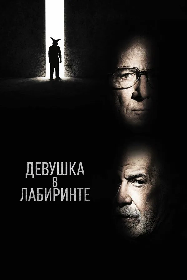Обложка фильма «Девушка в лабиринте»