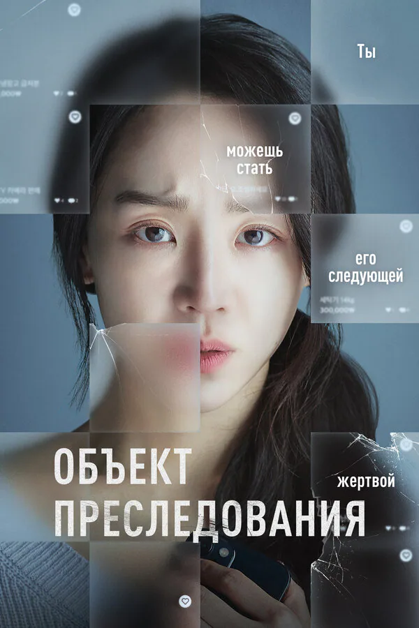 Обложка фильма «Объект преследования»