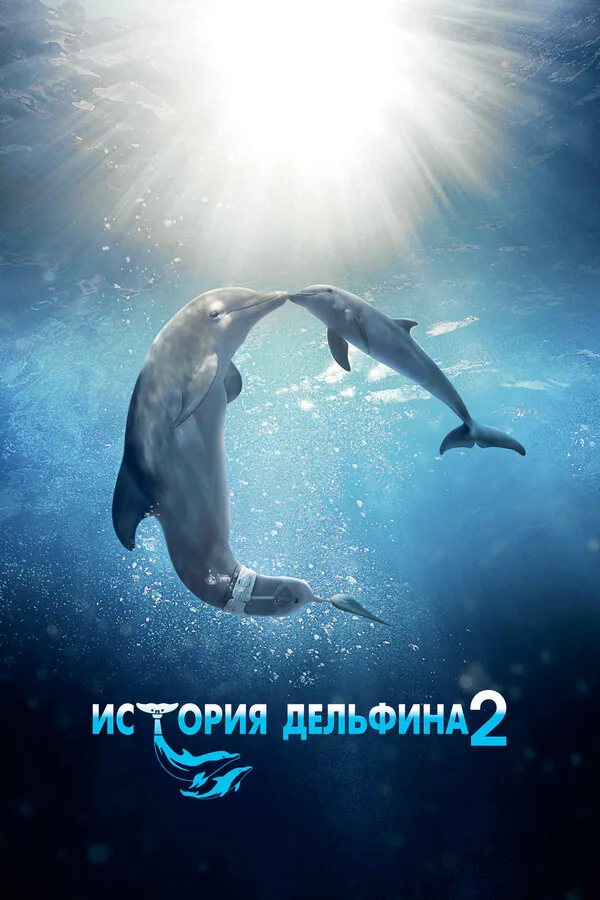Обложка фильма «История дельфина 2»