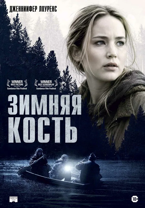 Обложка фильма «Зимняя кость»